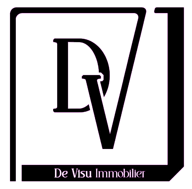 logo dv